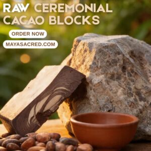 Premium Ecuadorian Raw Ceremonial Cacao Blocks (500g or 25kg)