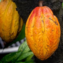 r4xdxrdbacw3tcrz5heg